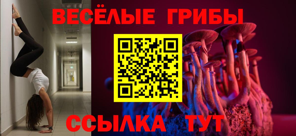 Клинцы  Галлюциногенные грибы GOLDEN TEACHER  Галлюциногенные грибы Magic Shrooms  Вход с VPN 
